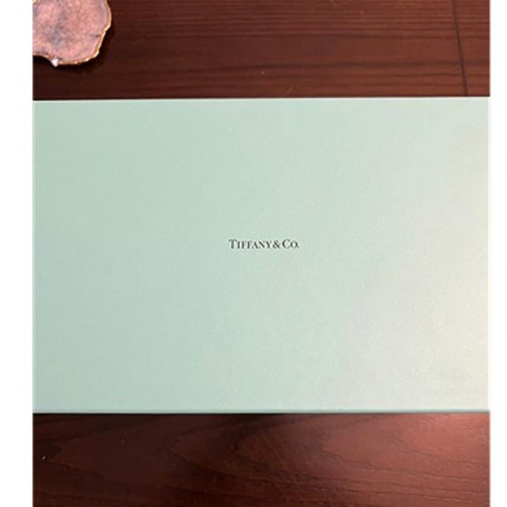 Tiffany & Co champagne glasses (pair)